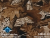 lp-hc-2-13