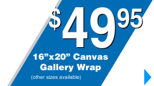 Canvas Gallery Wrap Sale - only $49.95